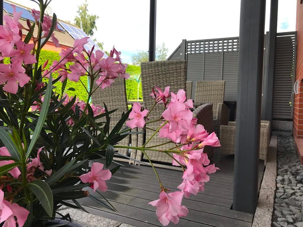 Appartement Haus Im Gruenen à Heringsdorf  Extérieur photo