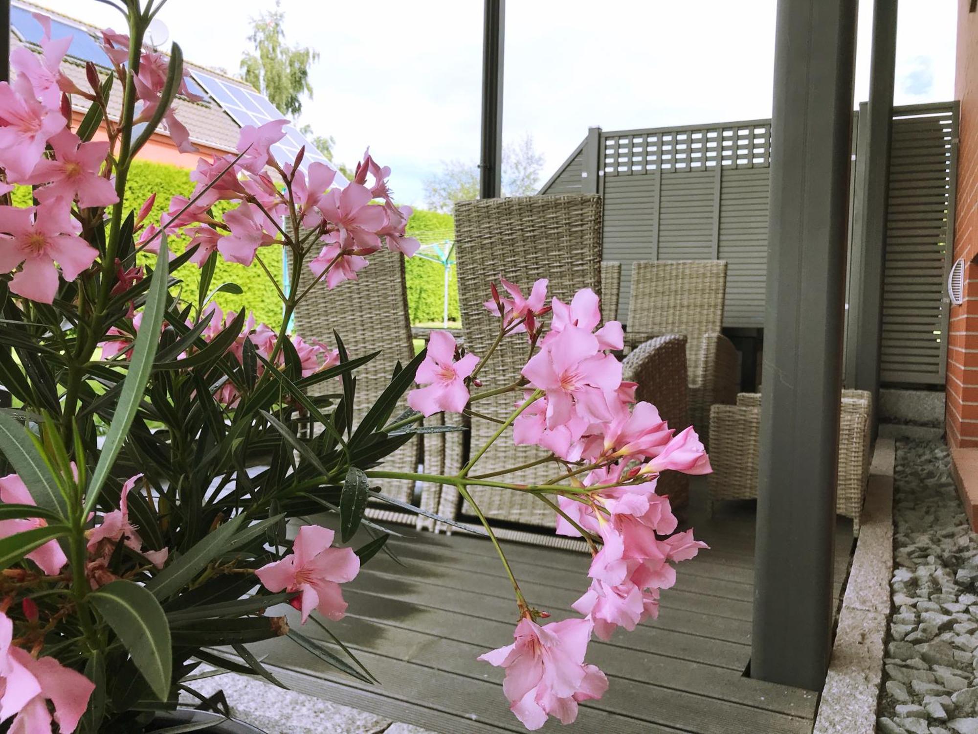 Appartement Haus Im Gruenen à Heringsdorf  Extérieur photo